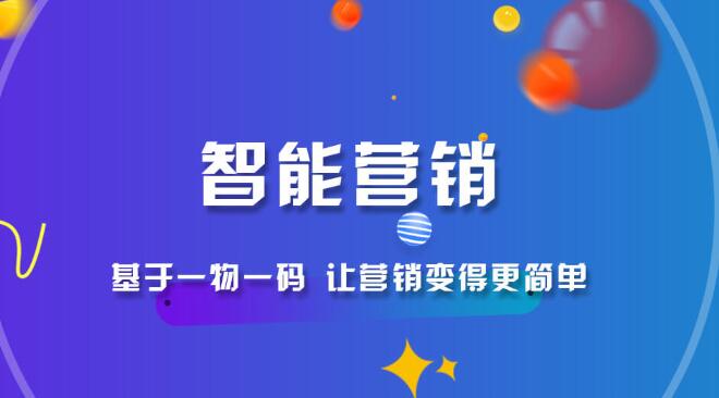 一物一码精准营销系统(生命码)
