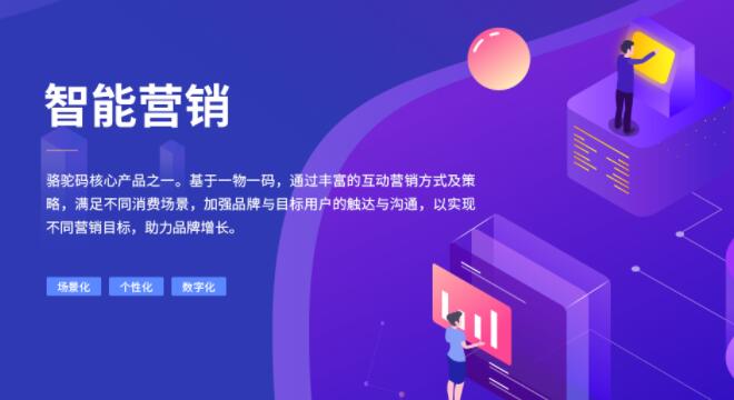 一物一码营销方案(骆驼码)