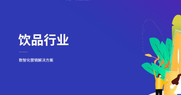 饮料一瓶一码营销方案（骆驼码）