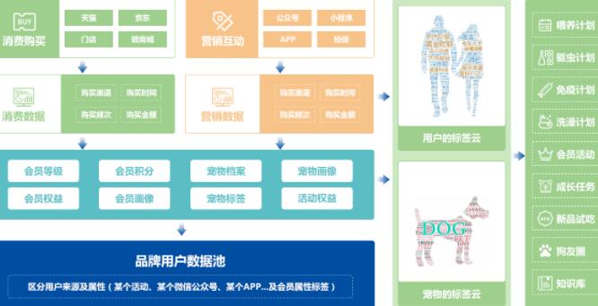 宠物用品数字化营销方案（兆信）