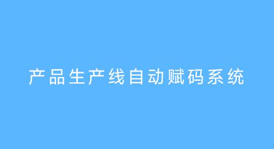 产品生产线自动赋码系统