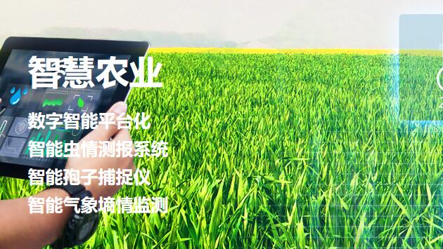 智慧农业是什么（智慧农业解决方案功能）